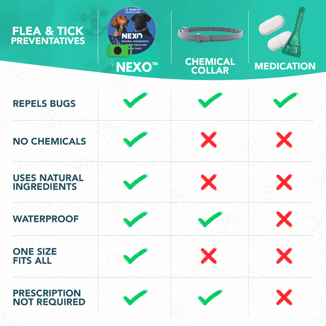 Nexo™ Tag – Natural Flea and Tick Defense for 12 Months