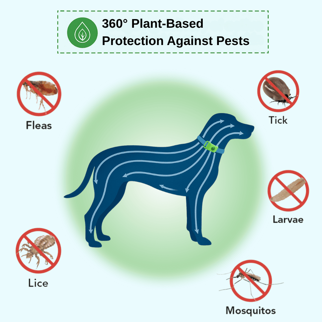 Nexo™ Tag – Natural Flea and Tick Defense for 12 Months