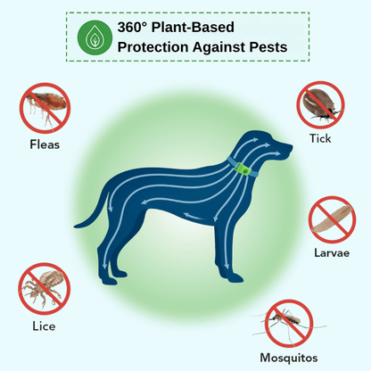 Nexo™ Tag – Natural Flea and Tick Defense for 12 Months