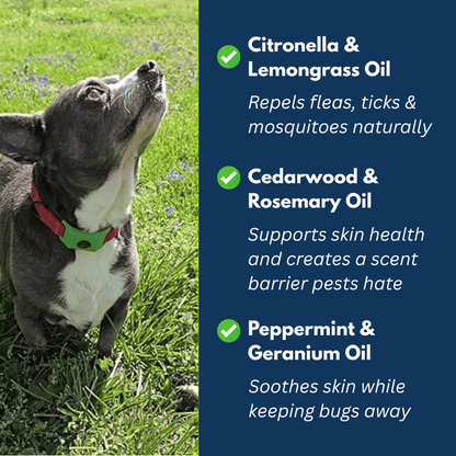 Nexo™ Tag – Natural Flea and Tick Defense for 12 Months