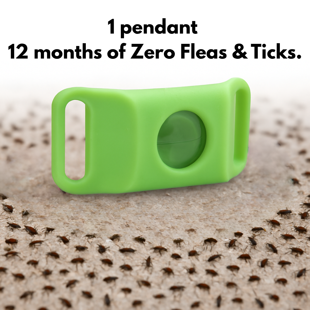 Nexo™ Tag – Natural Flea and Tick Defense for 12 Months