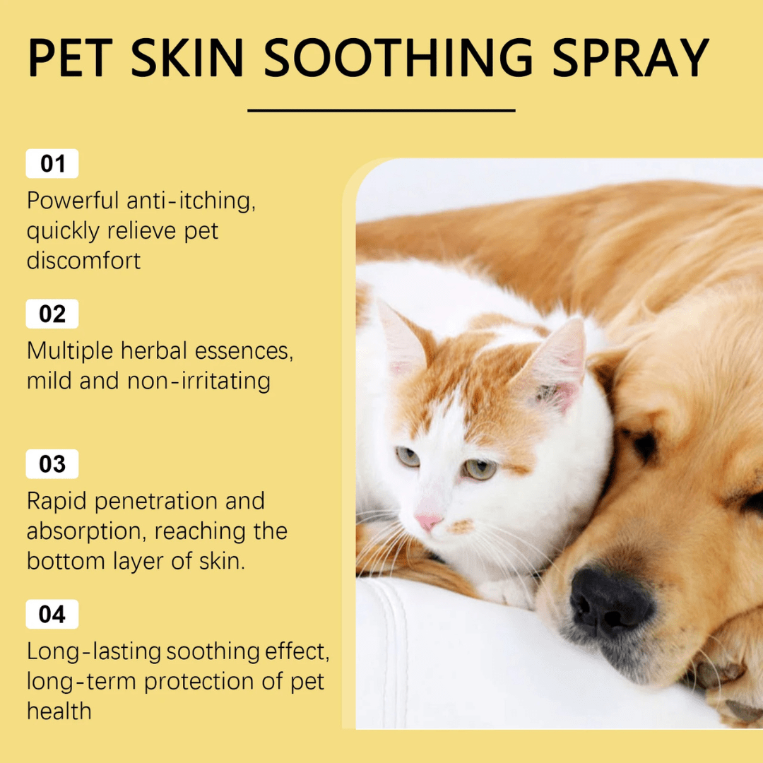 Anti - Itch Spray – Soothes Wounds, Allergies & Irritation - Nexo™