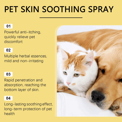 Anti - Itch Spray – Soothes Wounds, Allergies & Irritation - Nexo™