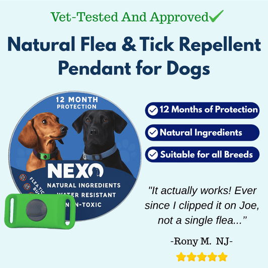 Nexo™ Tag – Natural Flea and Tick Defense for 12 Months